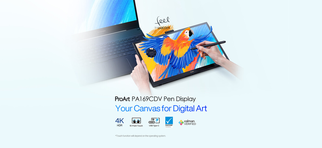 ProArt Display PA169CDV