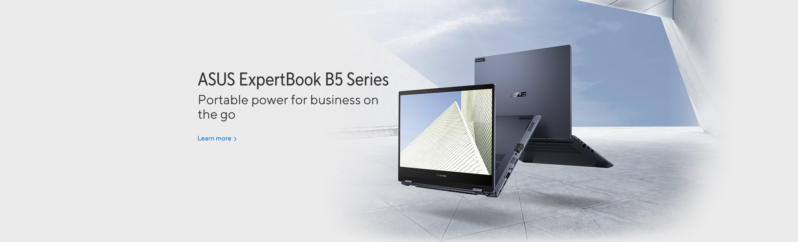 ExpertBook B5 (B5402C, 11th Gen Intel)