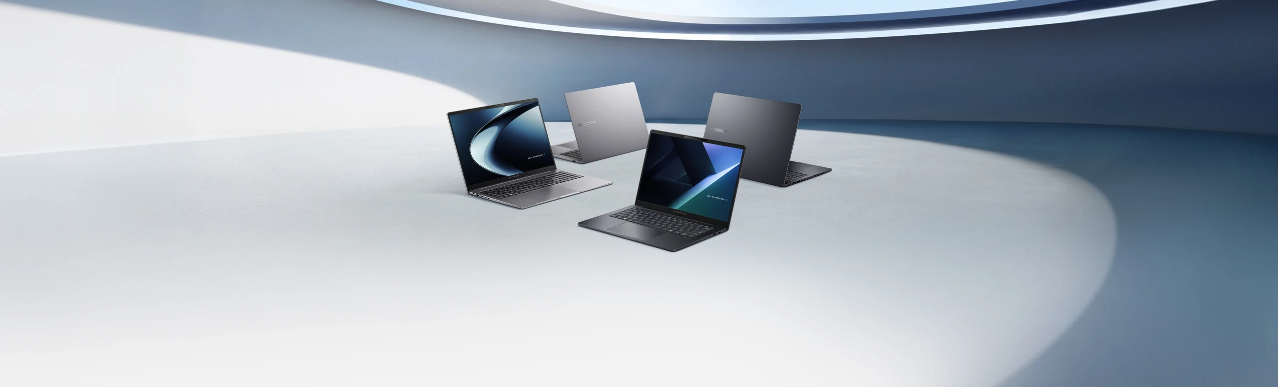 ASUS ExpertBook Serie B y P