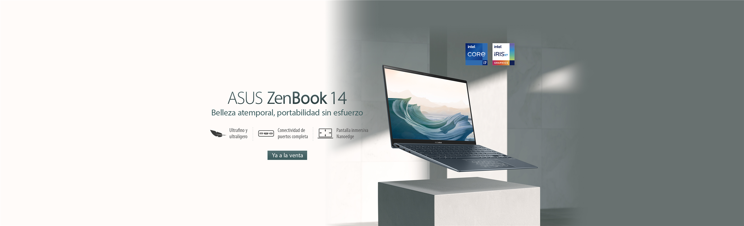 ZenBook 14 UX425 (Intel de 11ª Gen)
