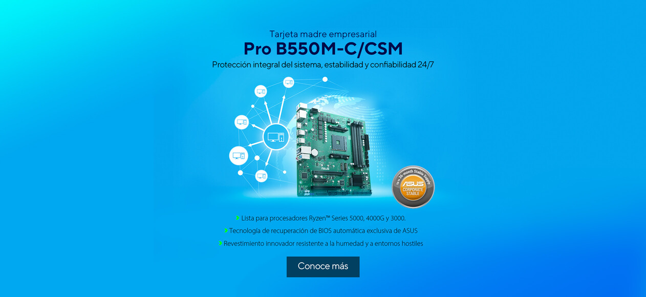 Pro B550M-C/CSM