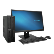 ASUSPRO D520SF