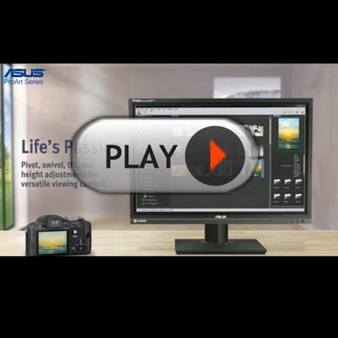 PA246Q Professional Monitor Video