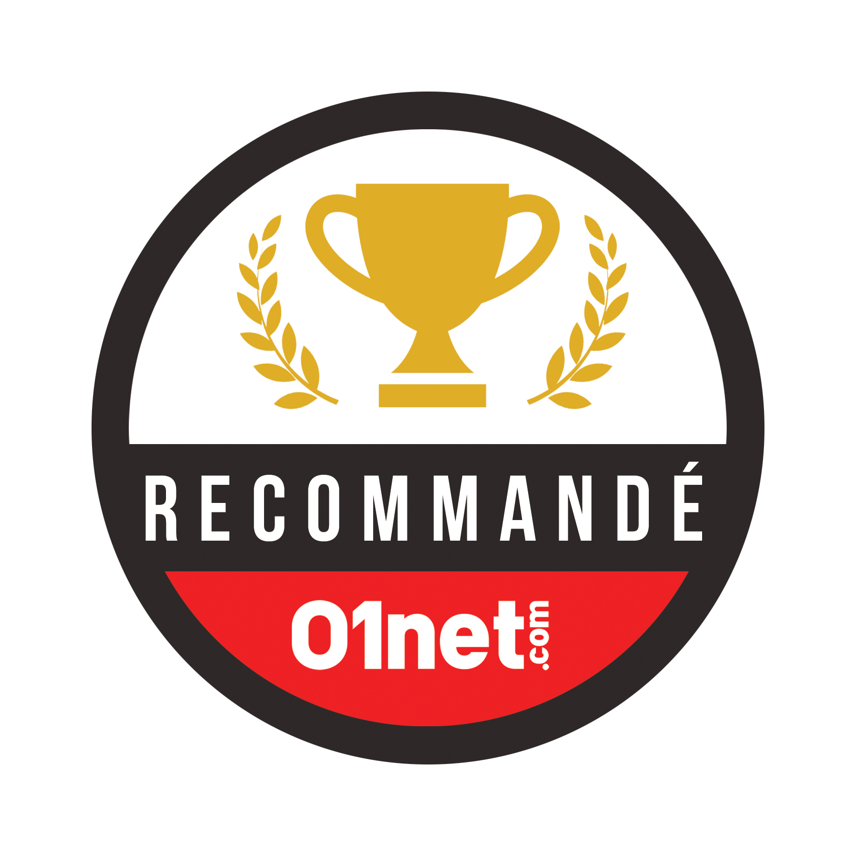 award icon