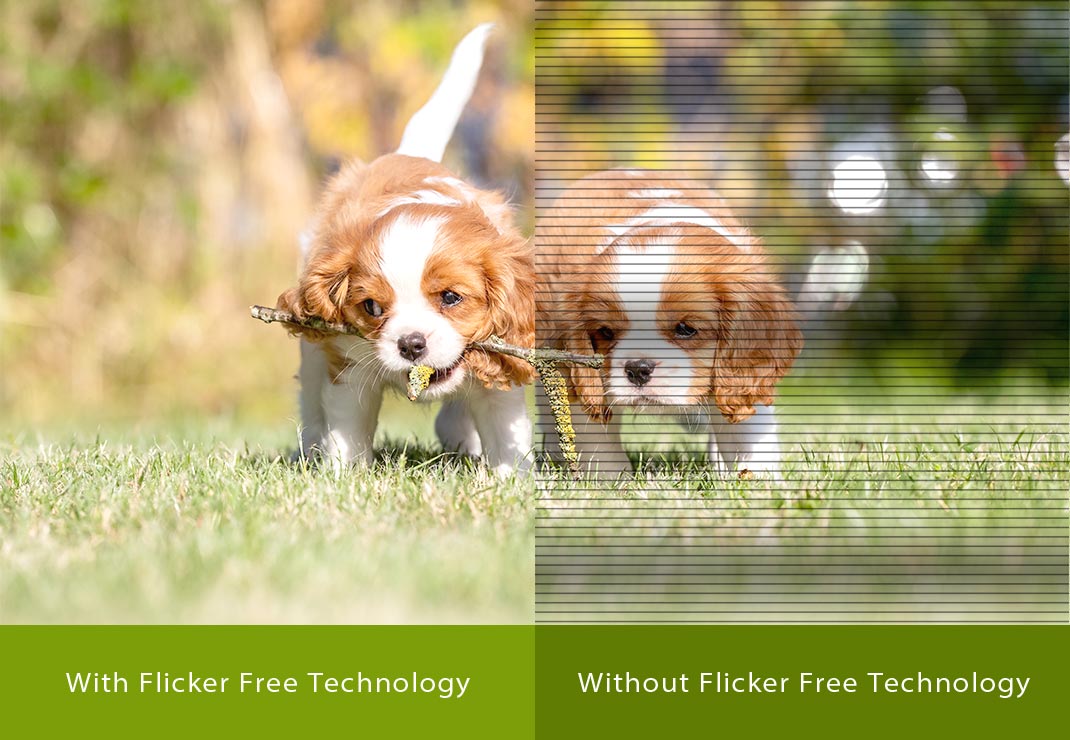 Flicker-Free-Technologie
