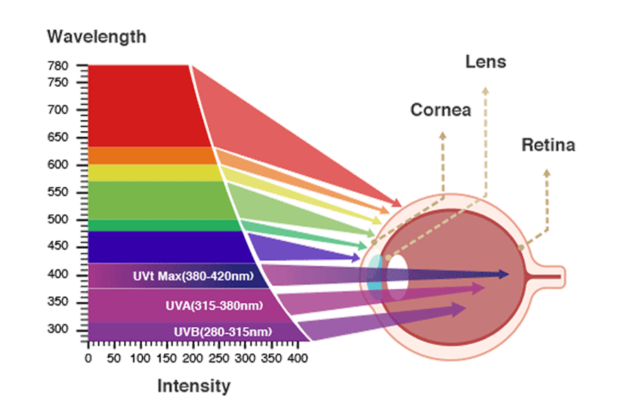 Hoe beschadigt blauw licht uw ogen?