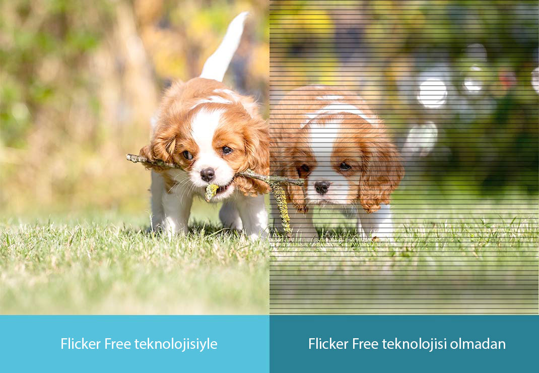 Flicker-free Teknolojisi