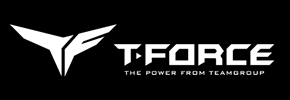 T-FORCE brand logo