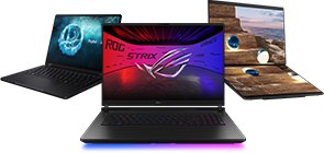 ASUS Garantía VIP