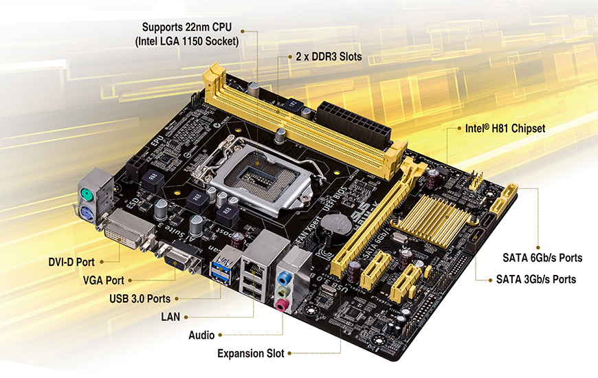 Asus H81m-c      -  5