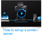 video printer